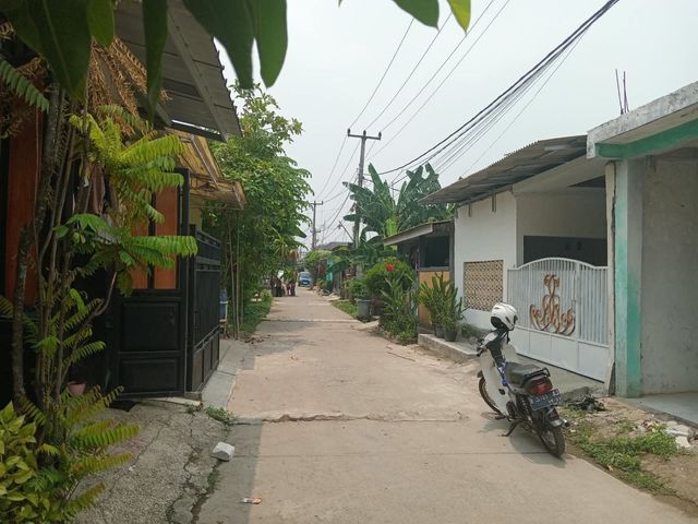 place photo 3