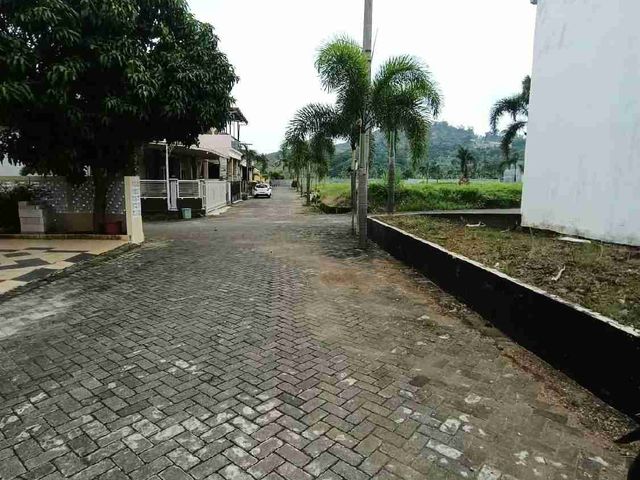 place photo 18