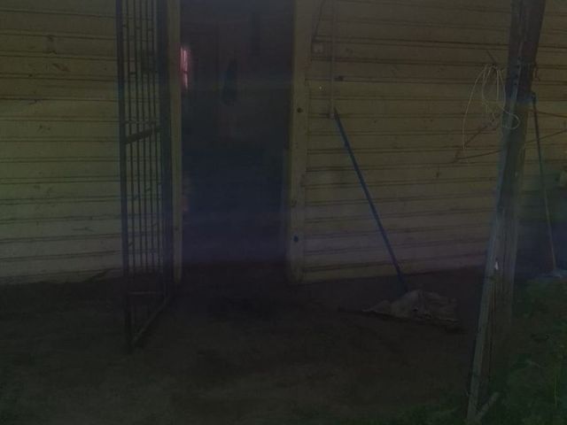 place photo 16