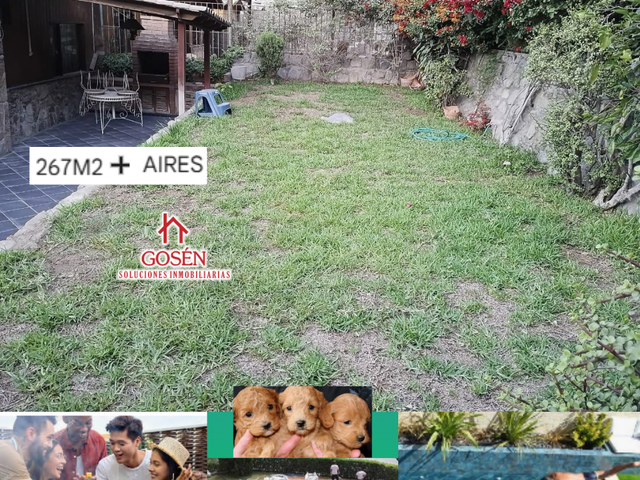 place photo 45