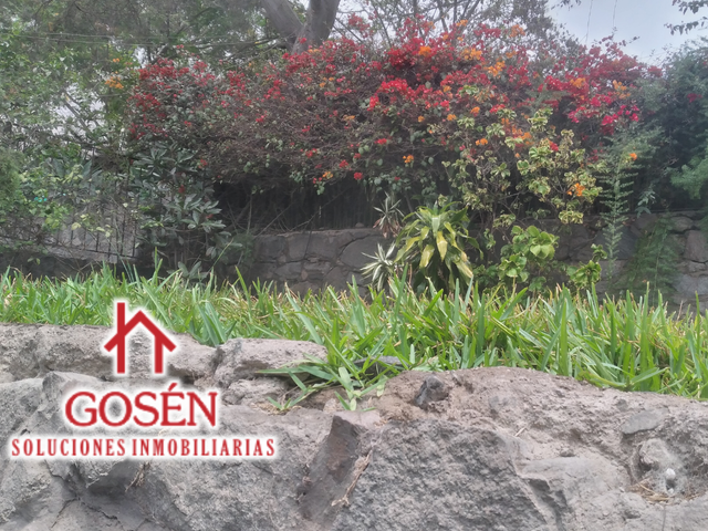 place photo 48