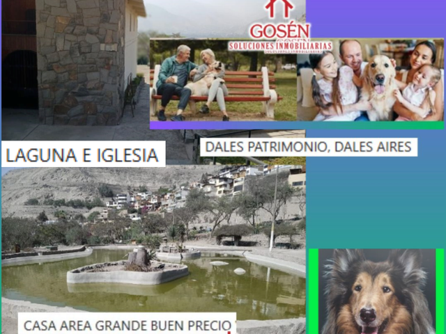 place photo 49