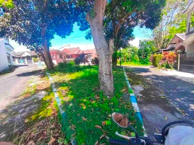place photo 10