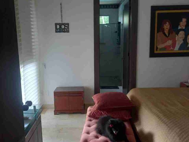 place photo 39