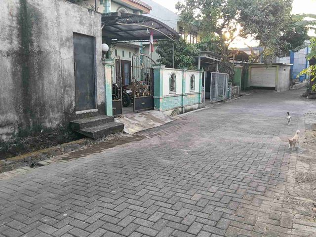place photo 3