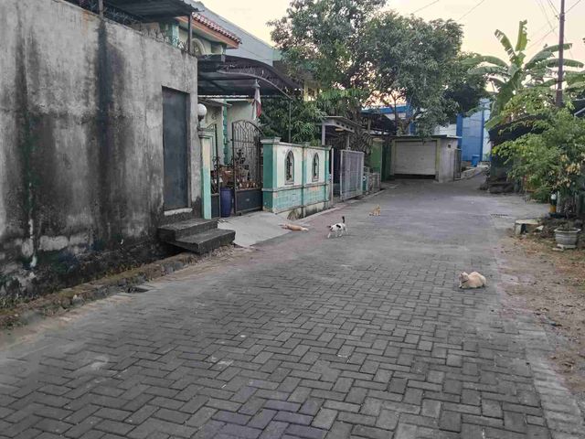 place photo 13