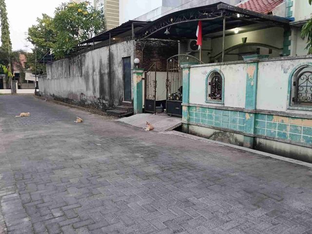 place photo 15