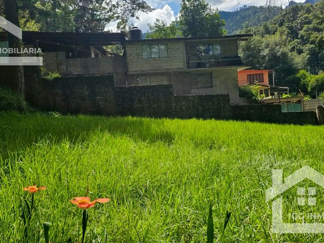place photo 39