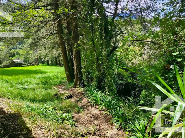 place photo 45