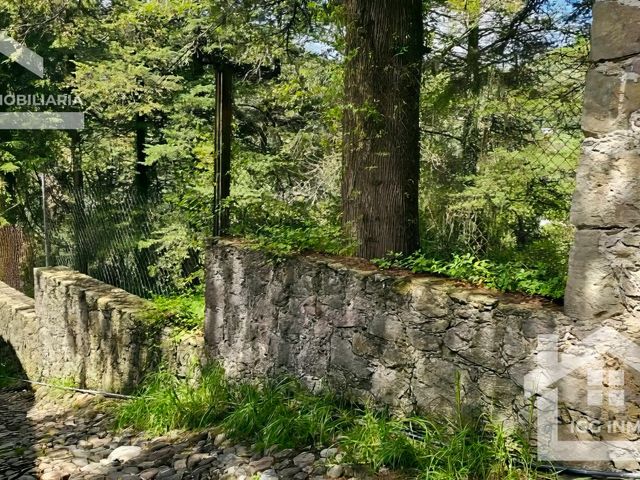 place photo 47