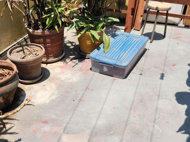 place photo 43