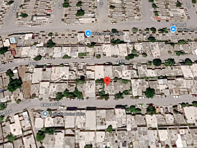 place photo 12
