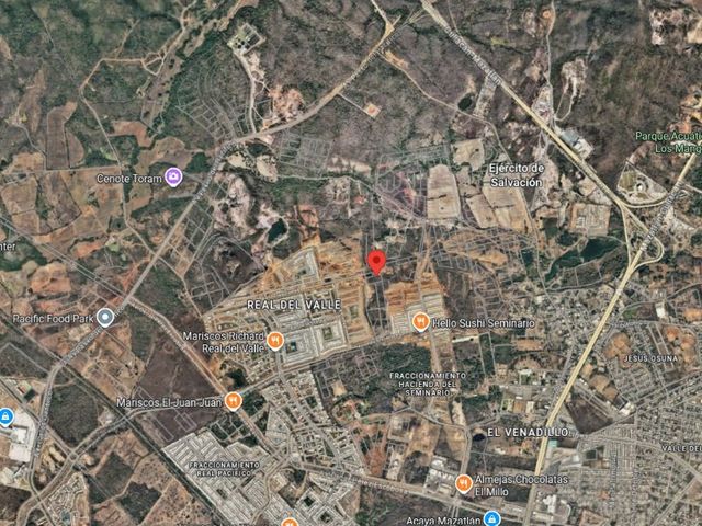 place photo 11