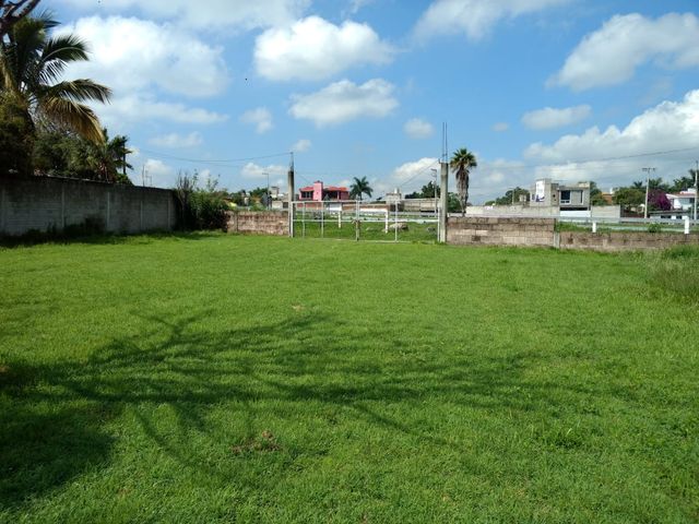 place photo 7