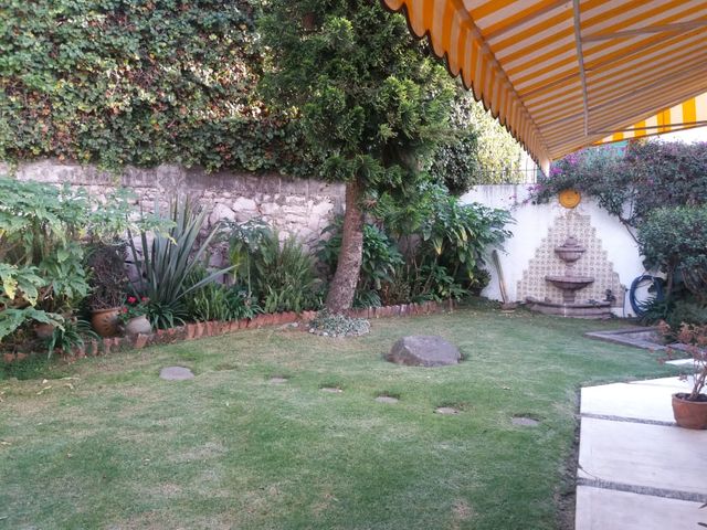 place photo 44