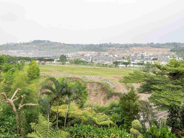 place photo 36