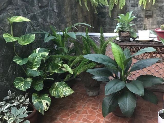 place photo 11