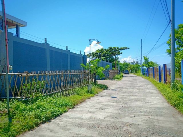 place photo 25