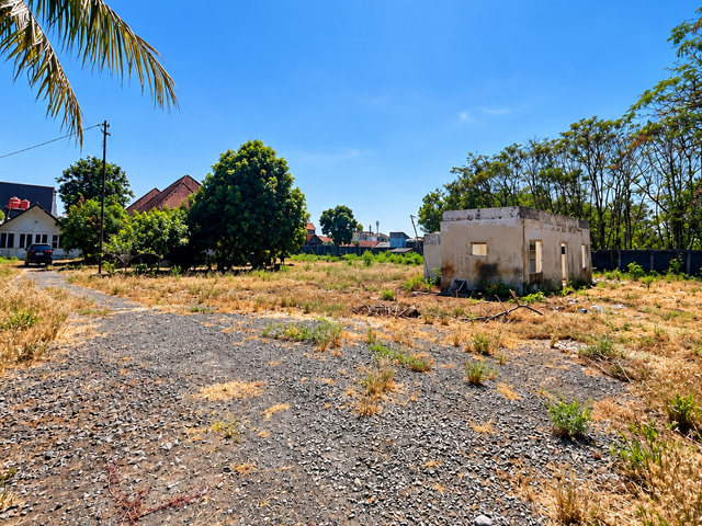 place photo 4