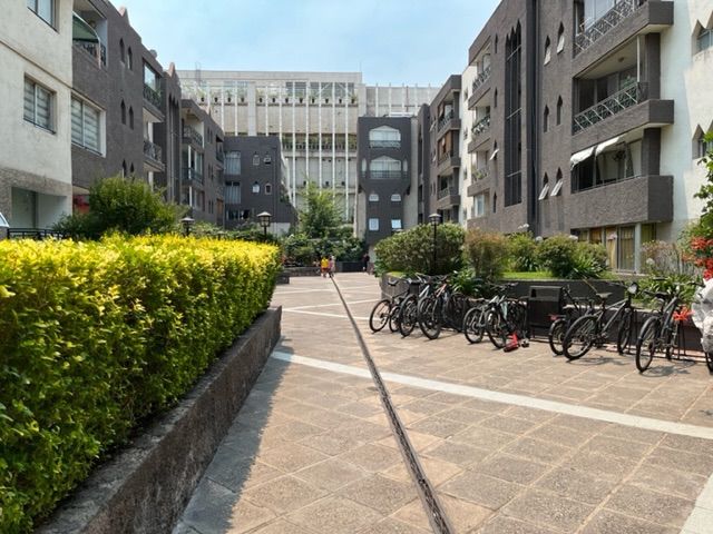 place photo 24