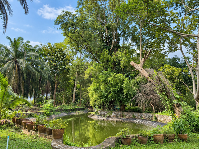place photo 12