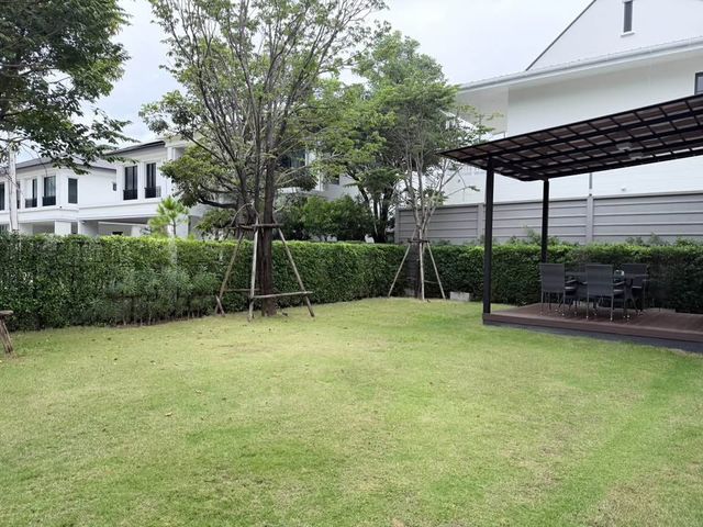 place photo 34