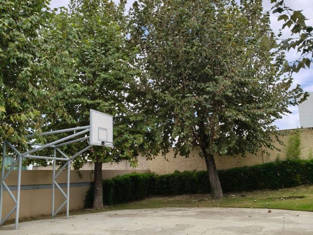 place photo 34