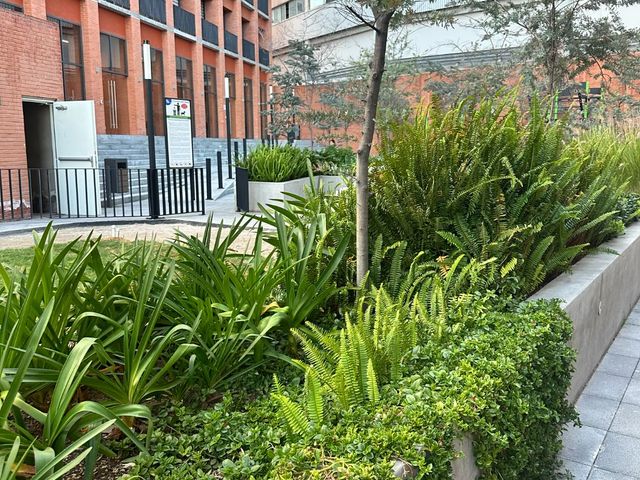 place photo 30