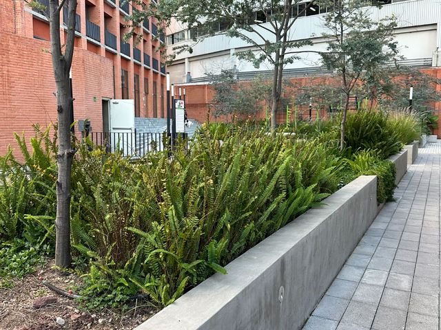 place photo 31