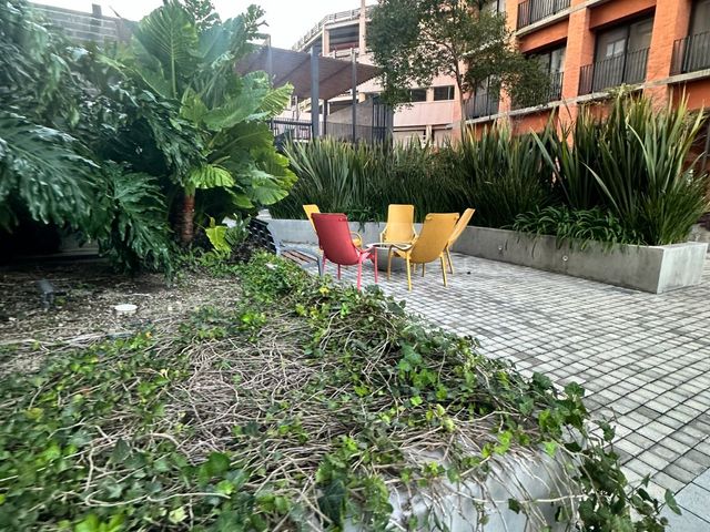 place photo 37
