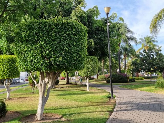 place photo 31