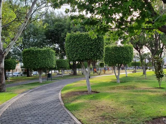 place photo 32