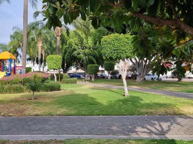 place photo 33