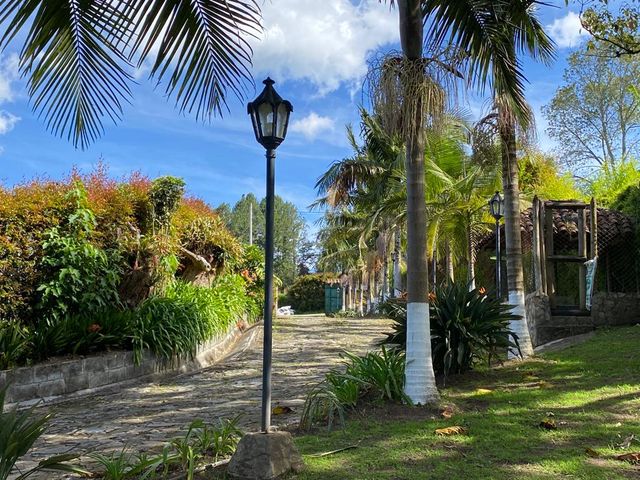 place photo 60