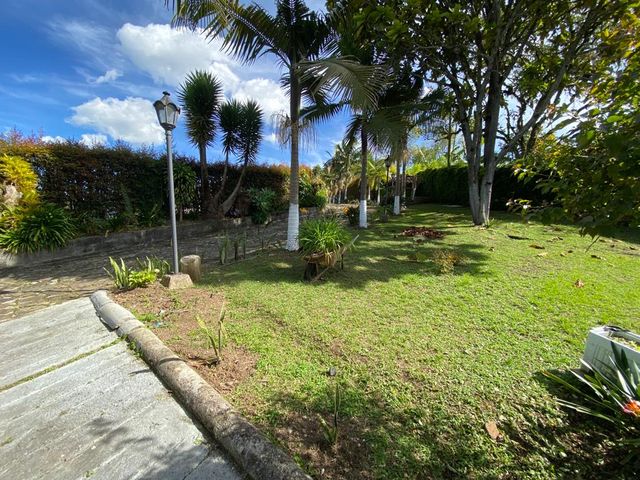 place photo 61