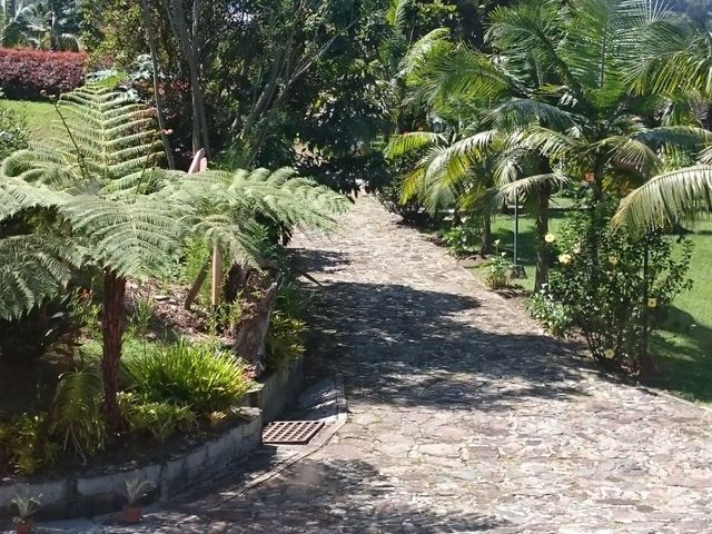 place photo 63