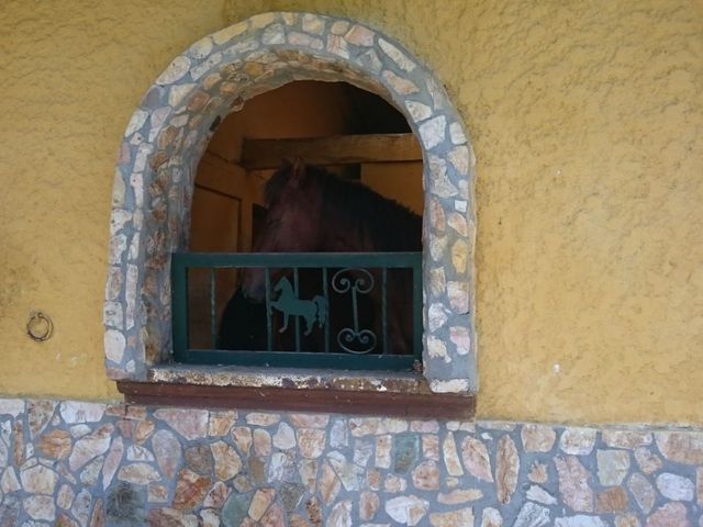 place photo 85