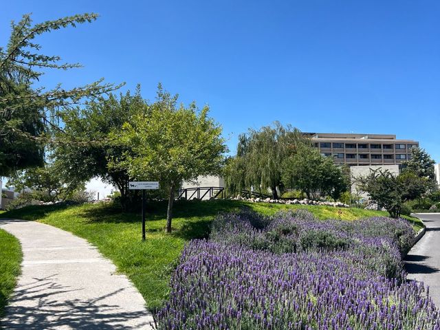 place photo 31