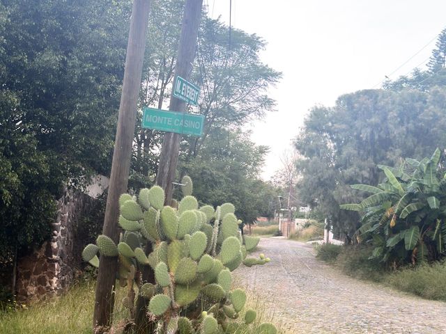 place photo 13