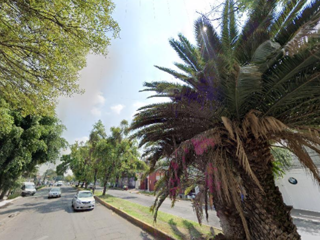 place photo 11