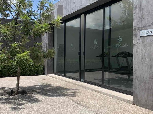 place photo 26