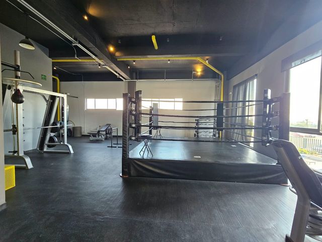 place photo 21