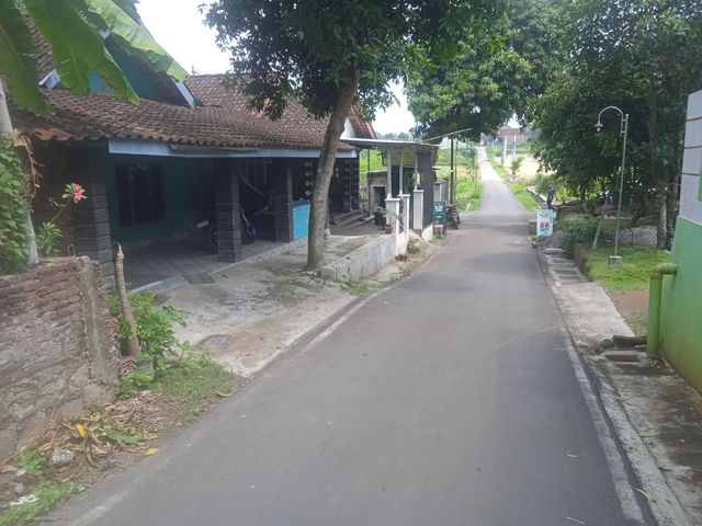 place photo 7
