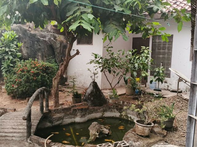 place photo 16