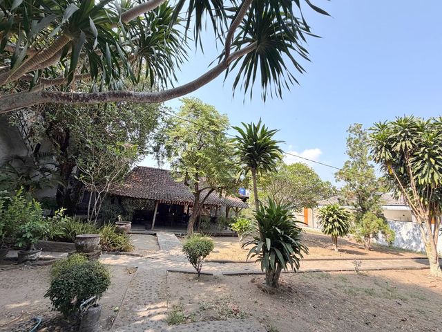 place photo 12