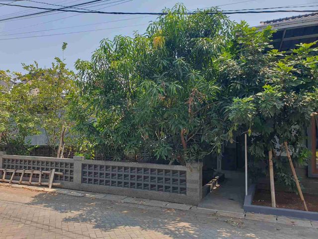 place photo 20