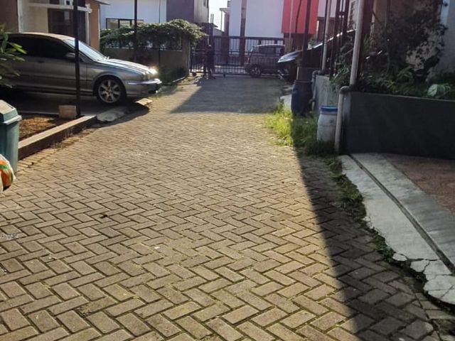 place photo 17