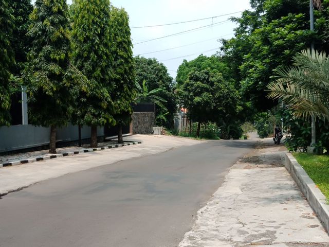place photo 29