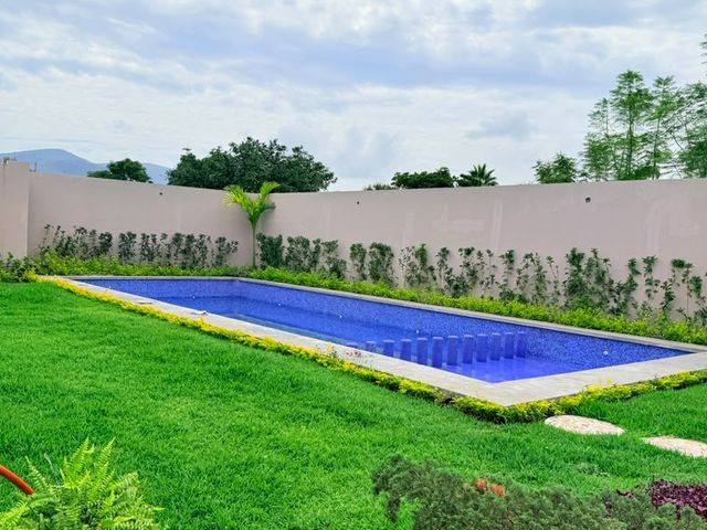 place photo 40