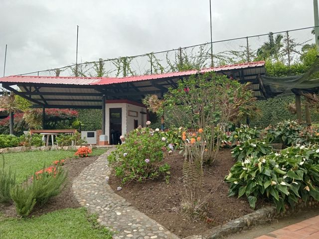 place photo 41